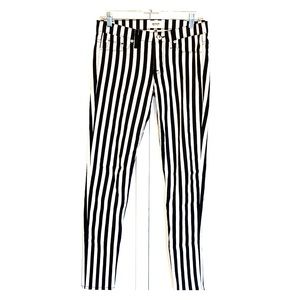 Hudson “Beetle Juice” pants